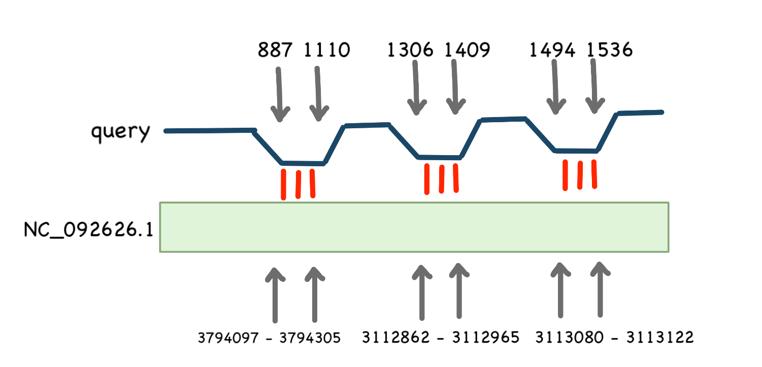 Схема выравнивания для 16s RNA