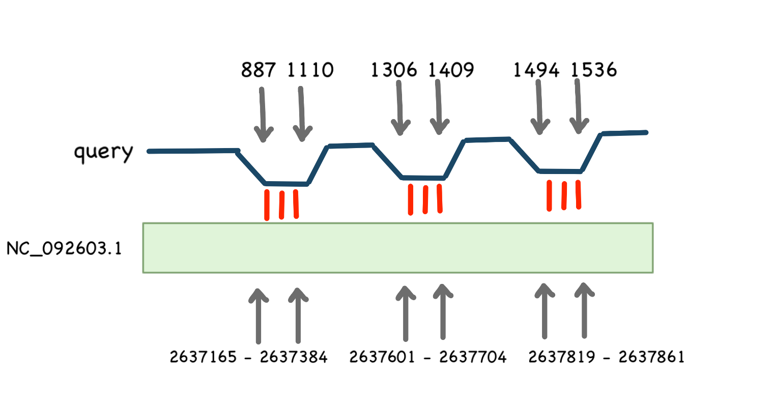 Схема выравнивания для 16s RNA