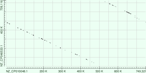 Карта локального сходства, построенная blastn
