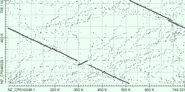 Карта локального сходства, построенная megablast