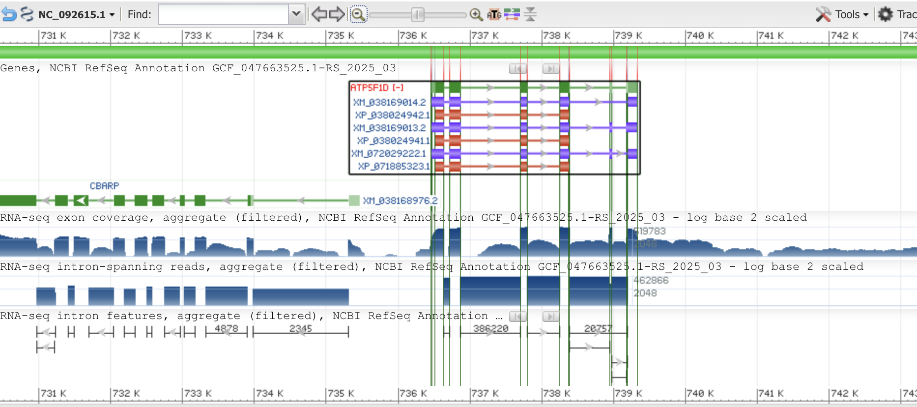  Изображение окрестности этого участка из геномного браузера