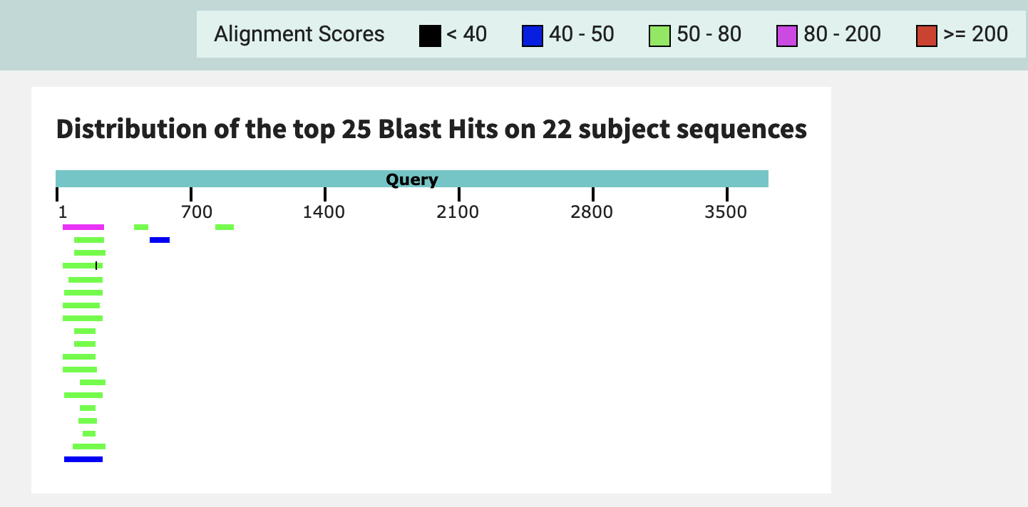 Графический результат поиска BLAST методом blastn