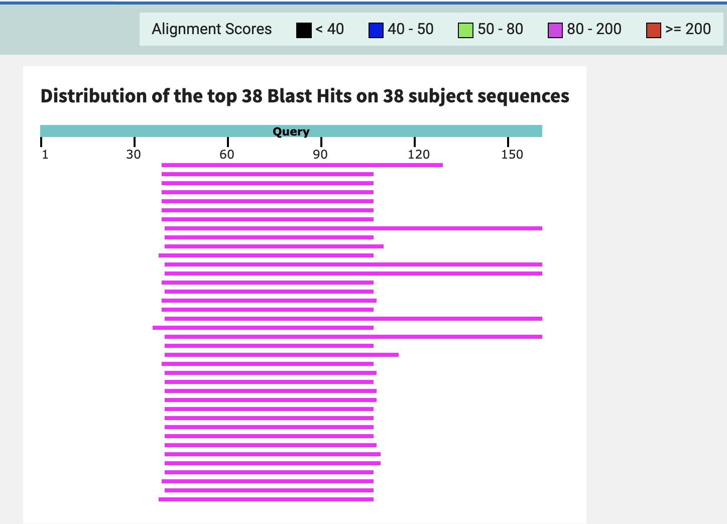Графический результат поиска BLAST методом tblastn