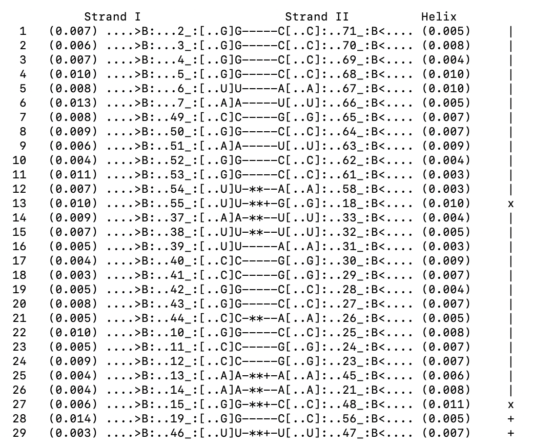 Водородные связи в структуре тРНК