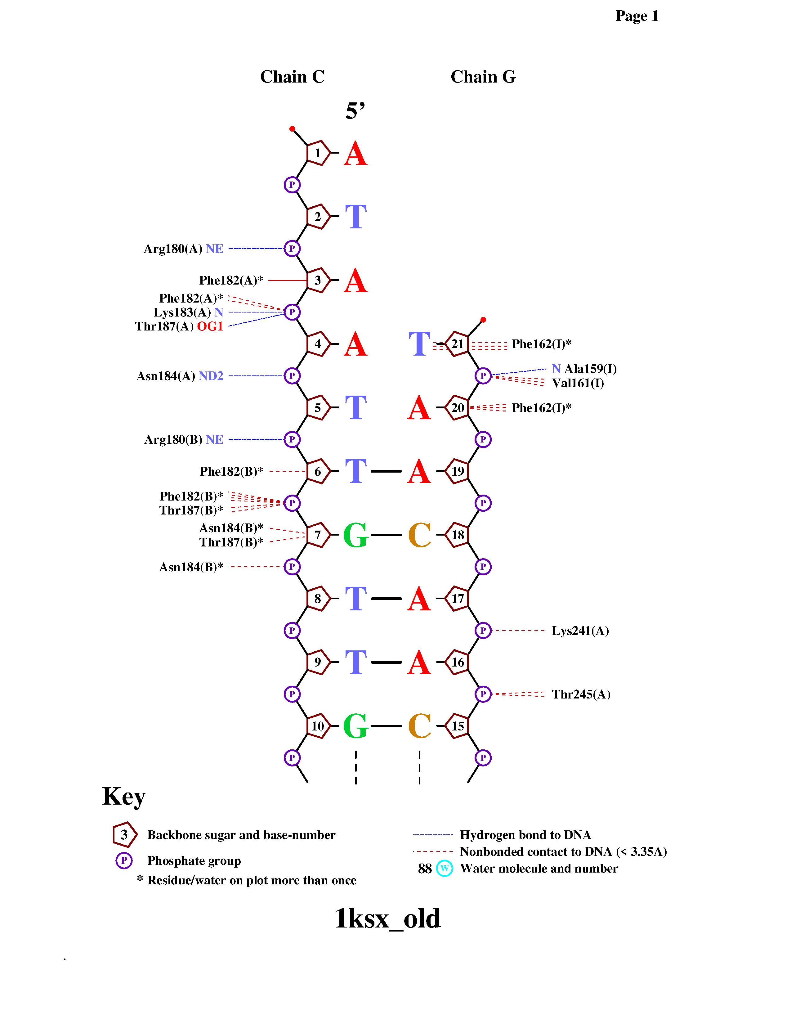 Выдача схемы о ДНК-белковых контактах командой nucplot