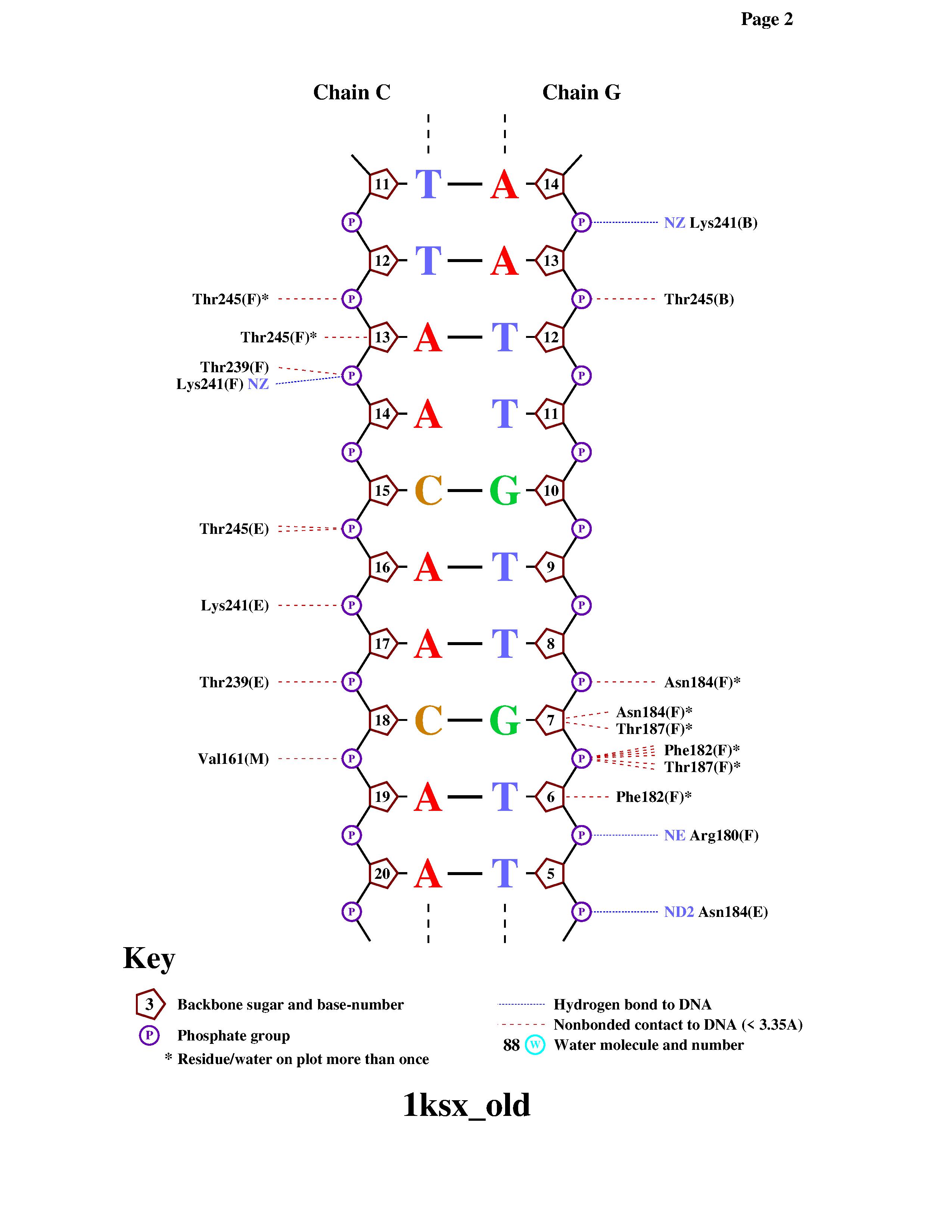 Выдача схемы о ДНК-белковых контактах командой nucplot