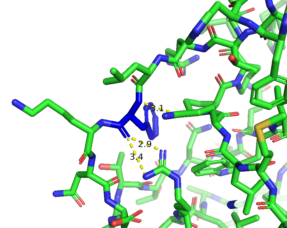 Контакты ДНК с F182