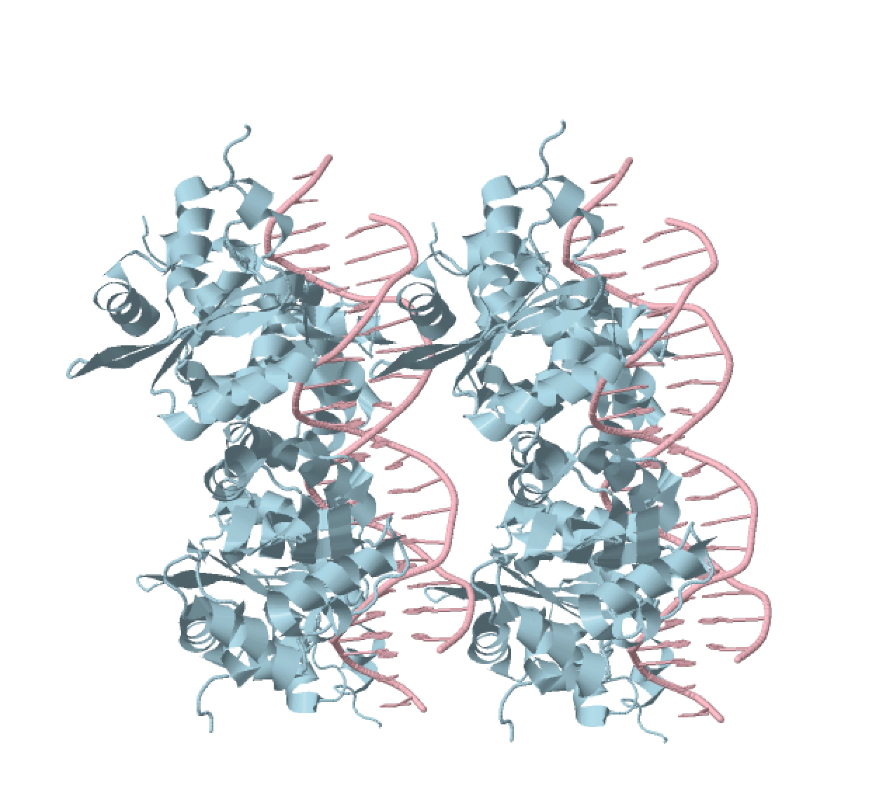 Вся структура 1ksx.pdb
