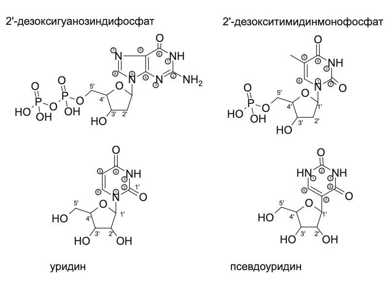 Упражнение 1