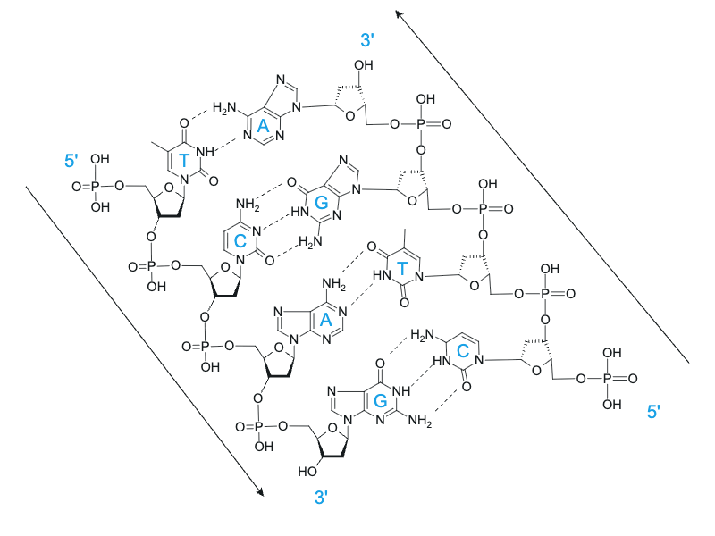 Упражнение 2