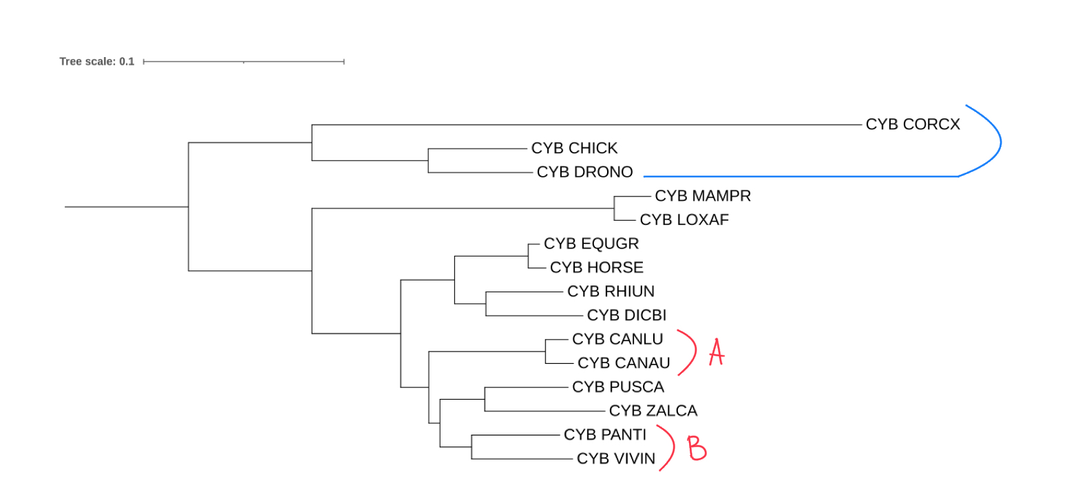 модель p-distance
