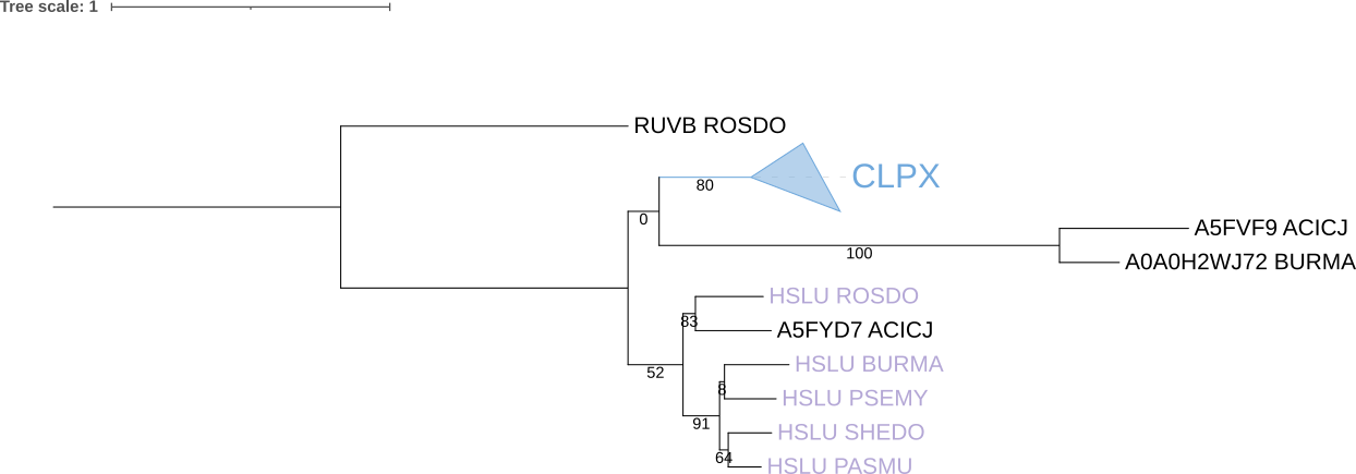 модель p-distance