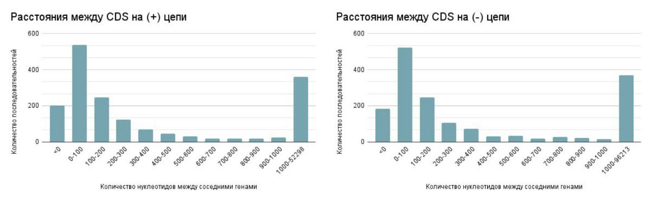 Рис. 5. Гистограмма расстояний между CDS