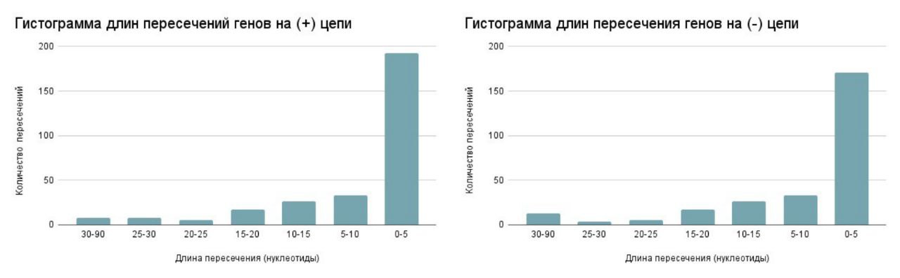 Рис. 6. Гистограмма длин пересечений между CDS