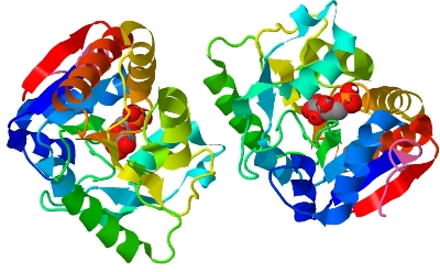 Rainbow colored protein