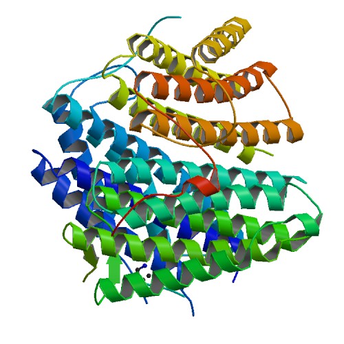 Sorry, here would be a picture of protein but it's unfortunately wasn't found