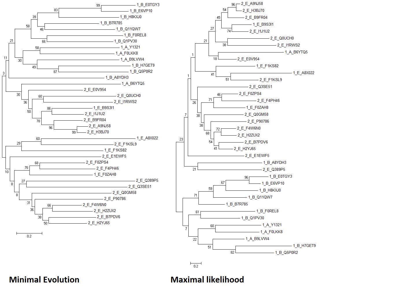 treeME+ML
