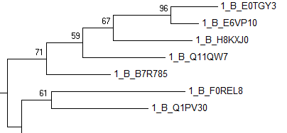 treeML1