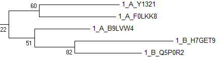 treeML2