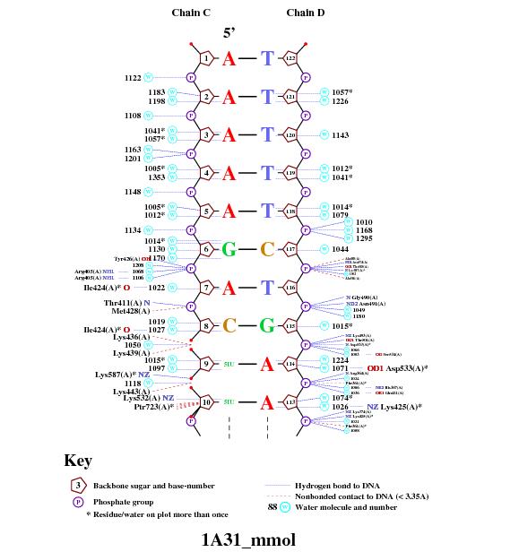 nucplot
