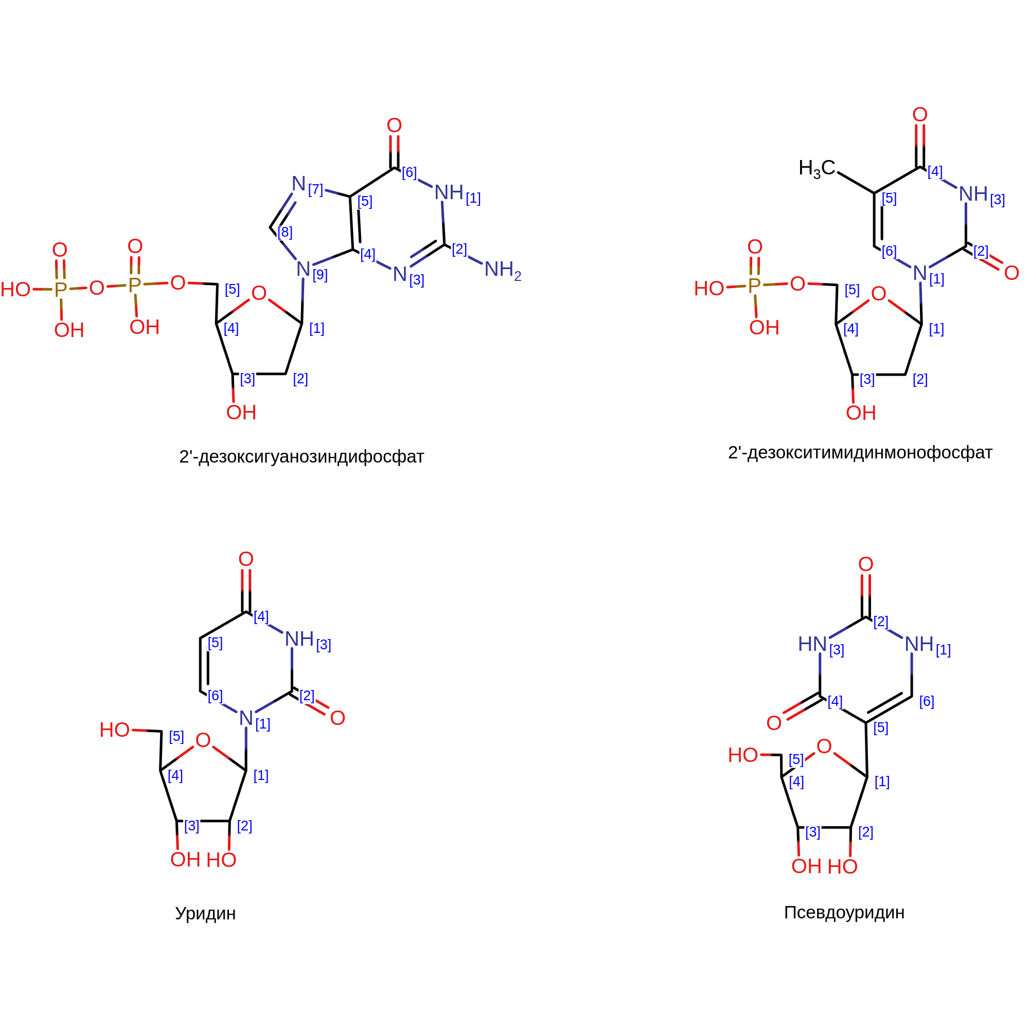 Структура нуклеотидов