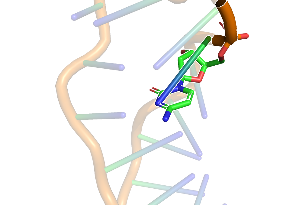 Цитозин в Z-ДНК