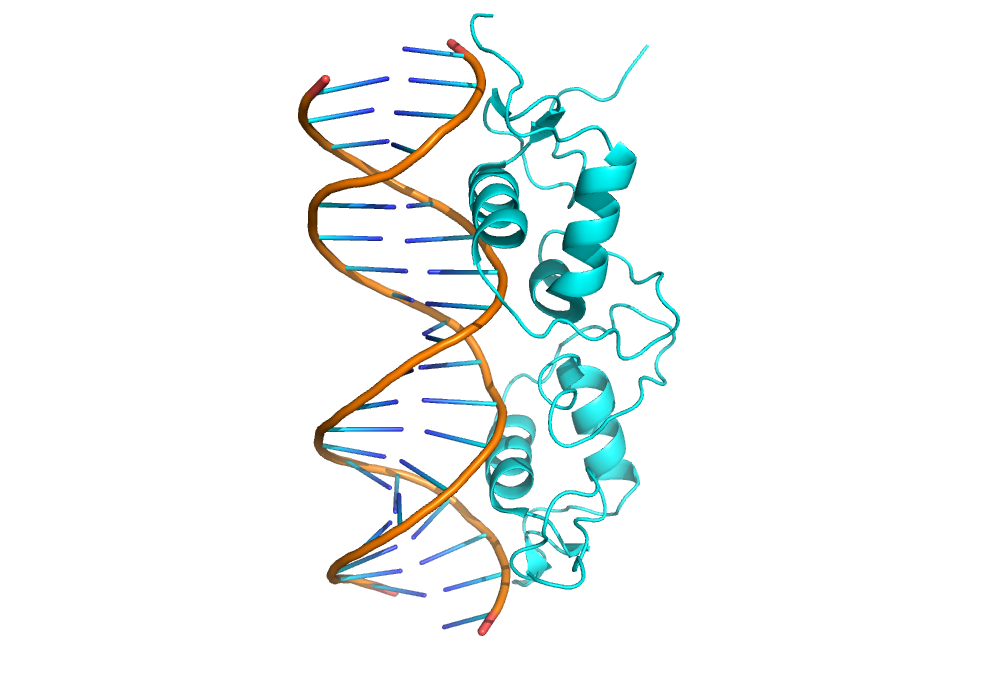 1r4o.pdb_all