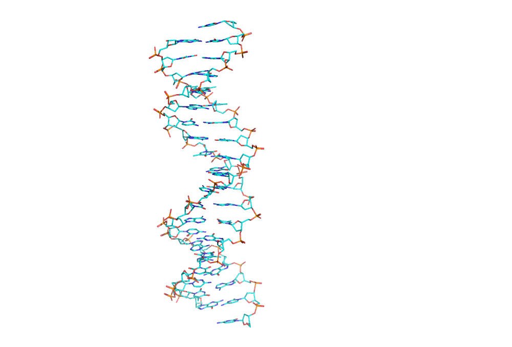 1r4o.pdb_wire