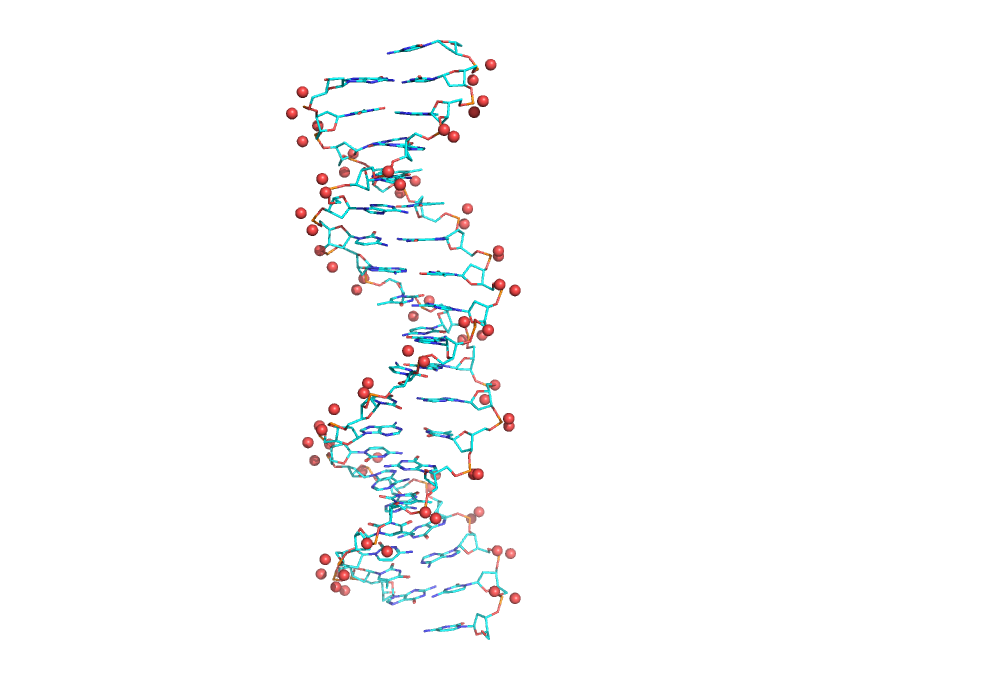 1r4o.pdb_OP1+OP2