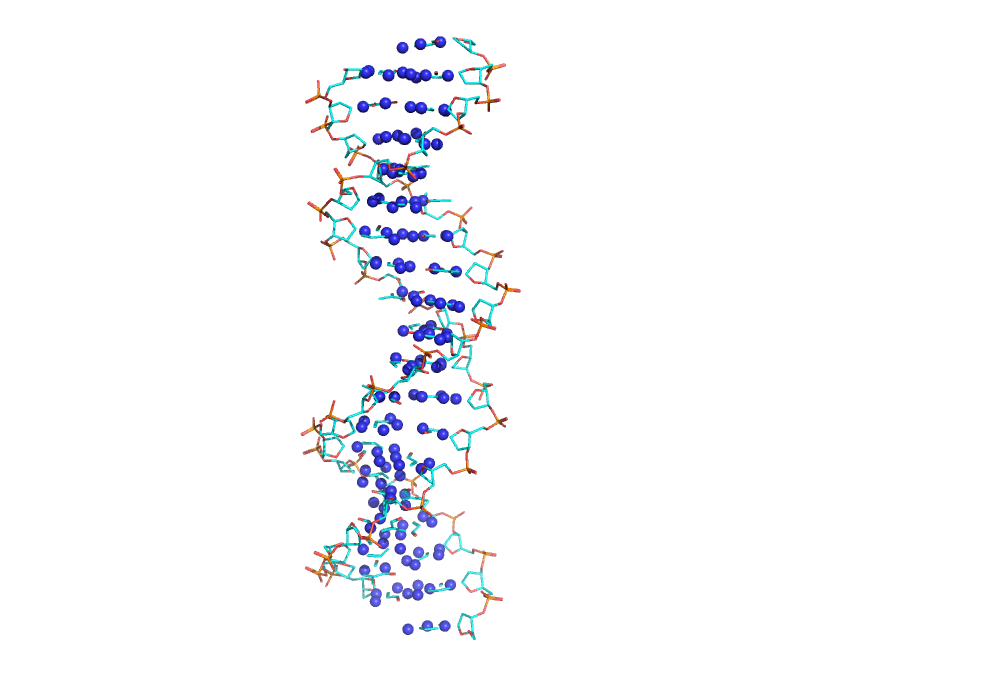 1r4o.pdb_N