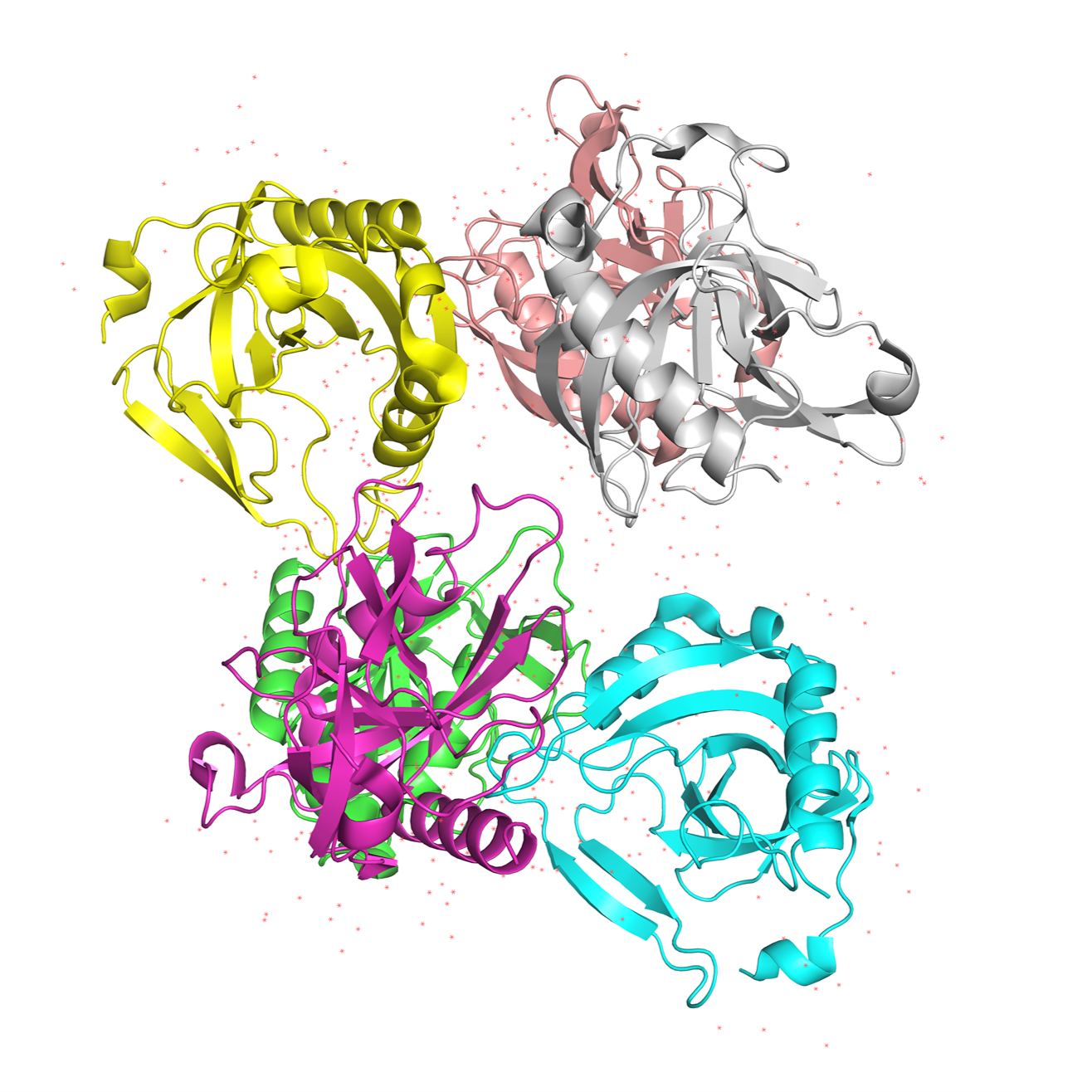 protein 1YGZ