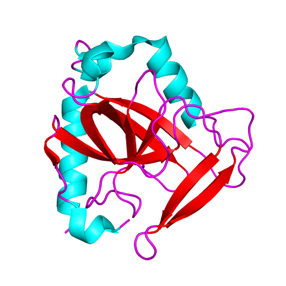 Represented by Chain A