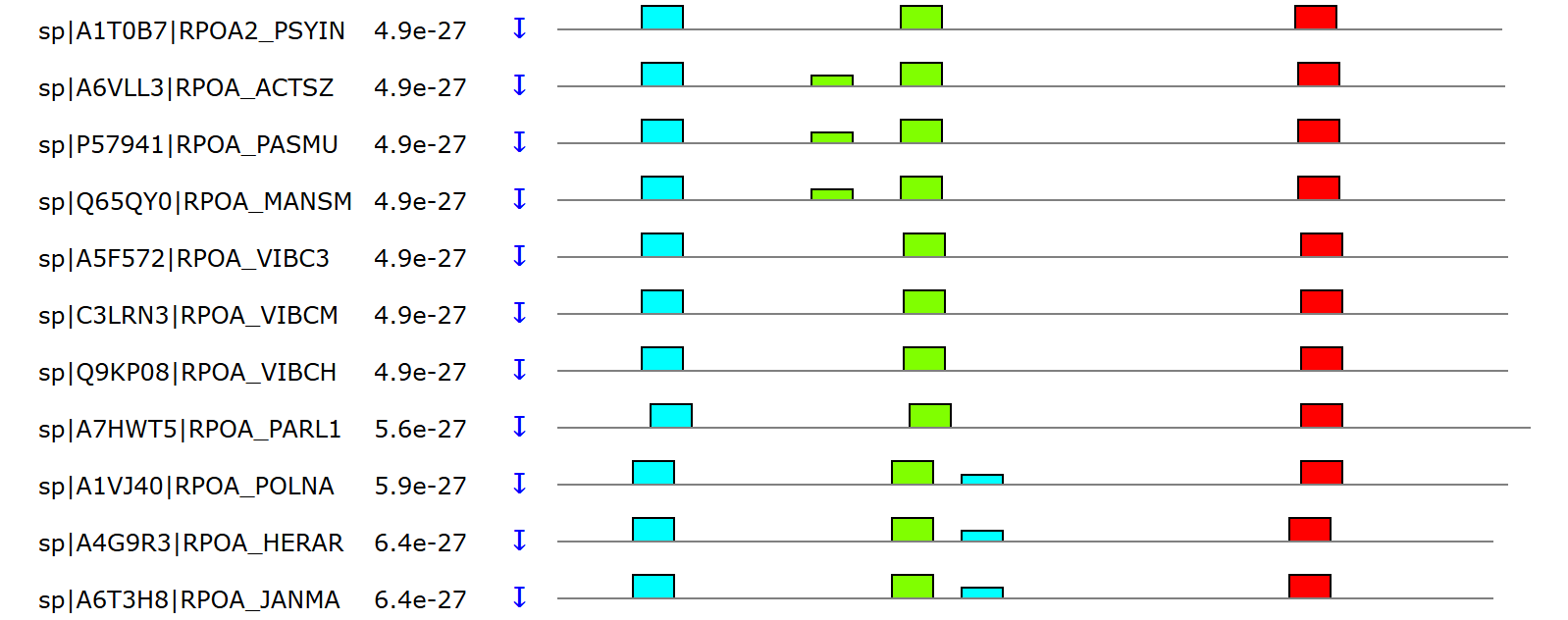 motifs in rpa