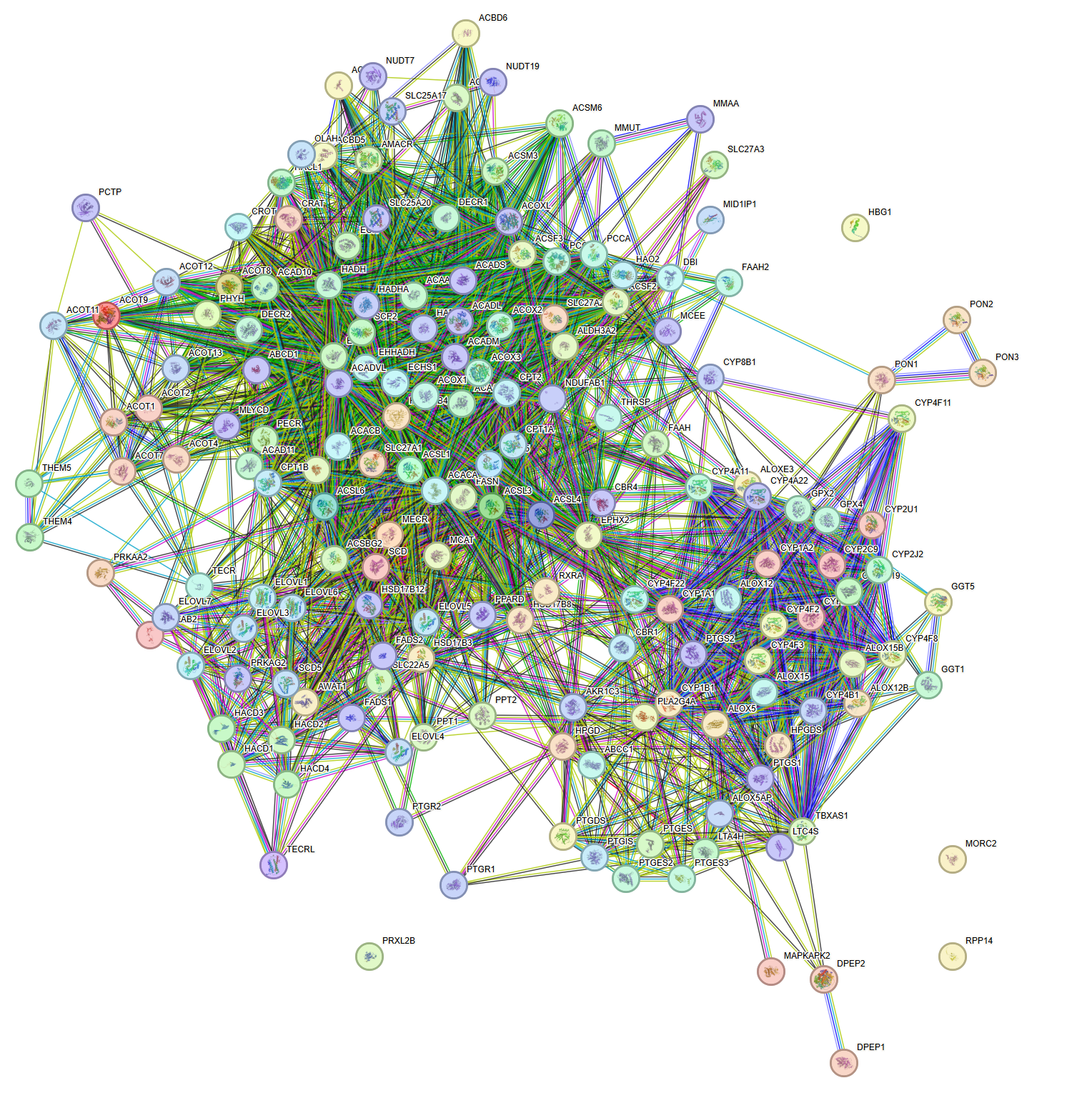 Gene Ontology   
