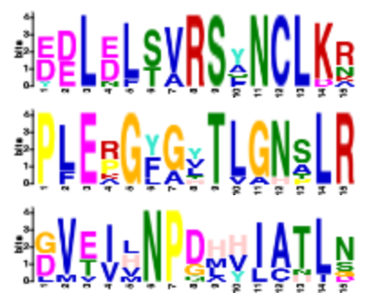 conservative block in sequence