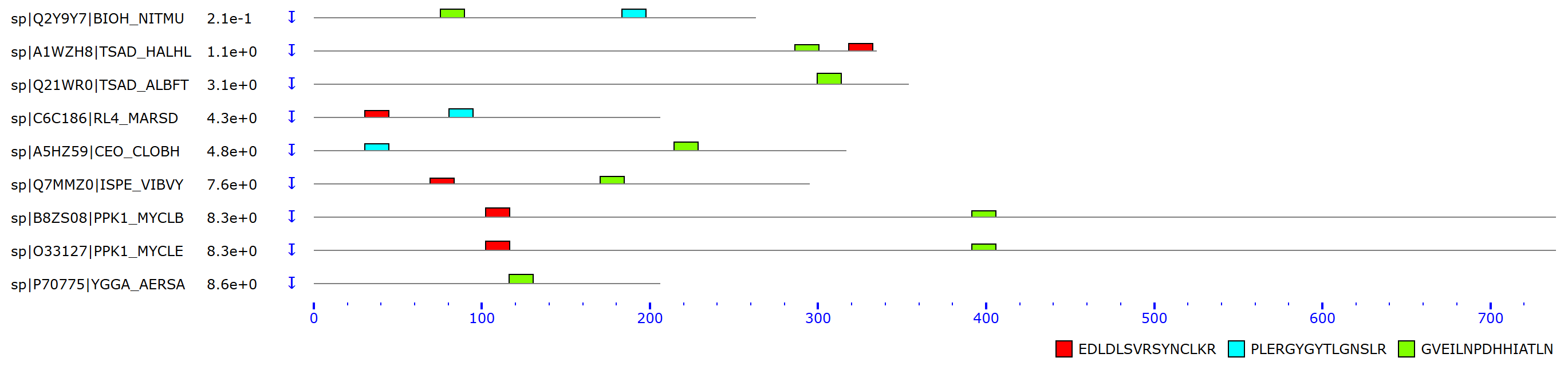 motifs in rpa