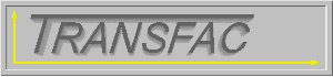TRANSFAC-Logo