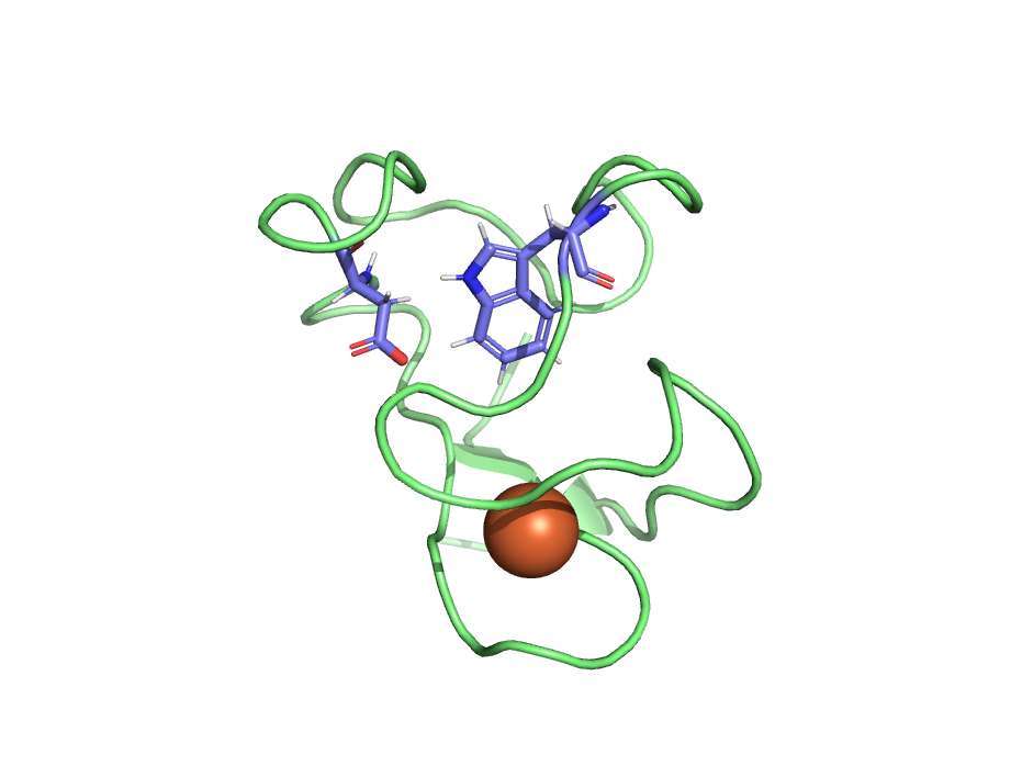 Структура белка представленная глобулой