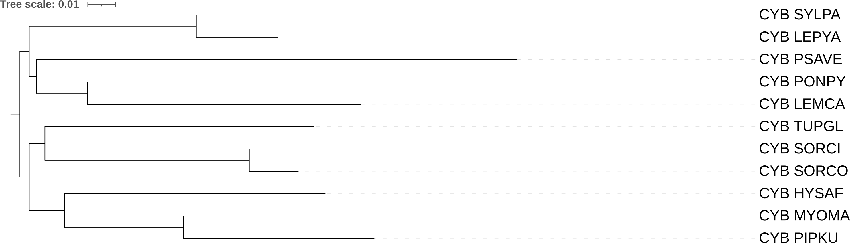 Дерево FastME MtREV