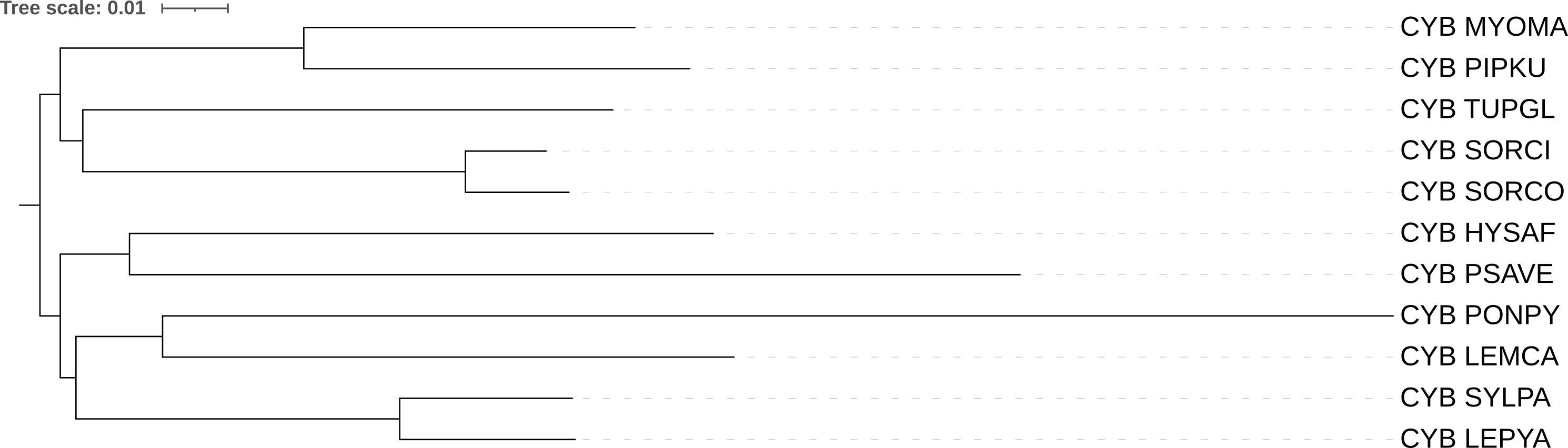 Дерево FastME p-distance