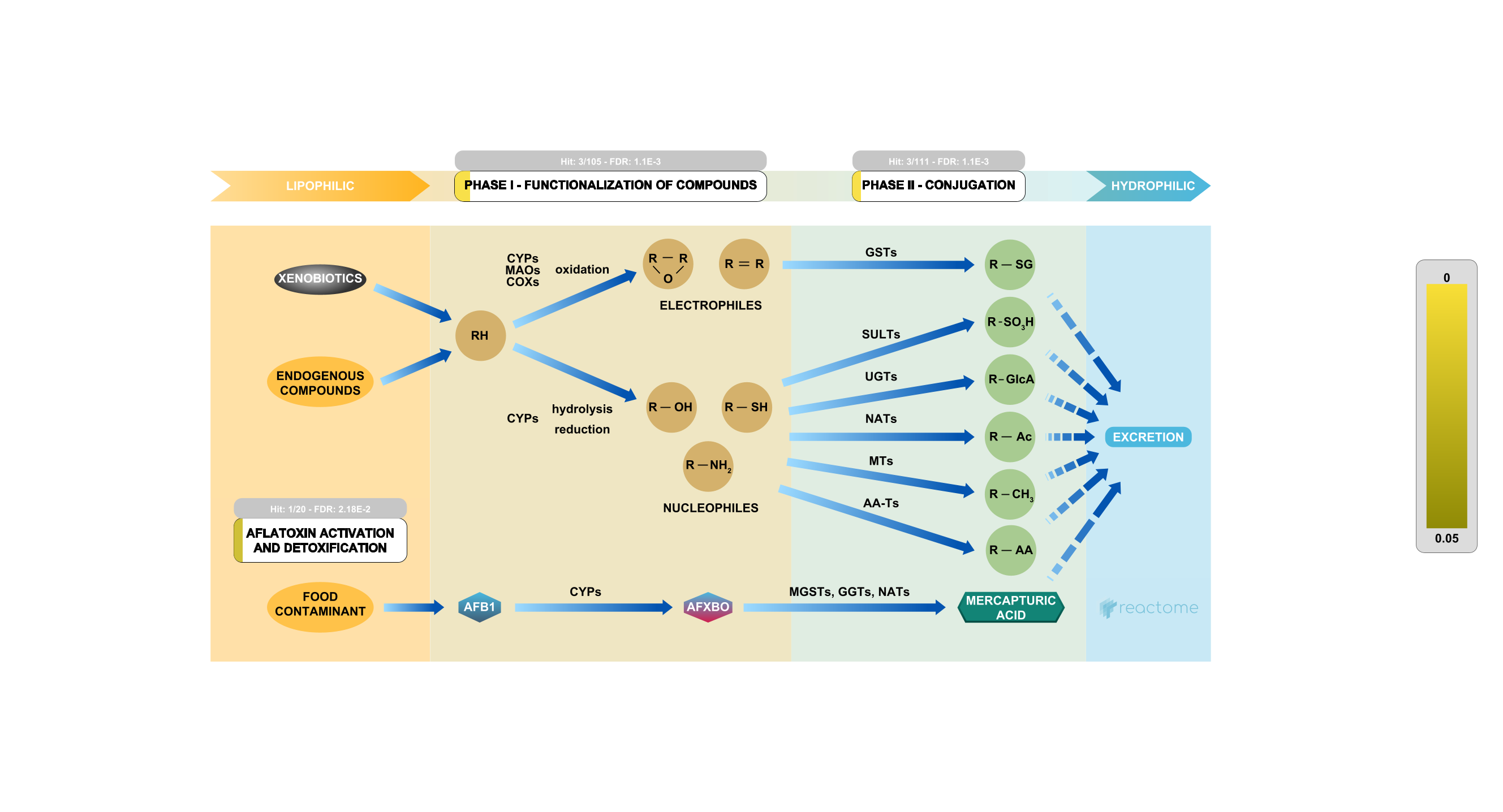 phosphatase