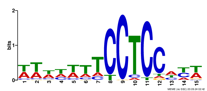 phosphatase