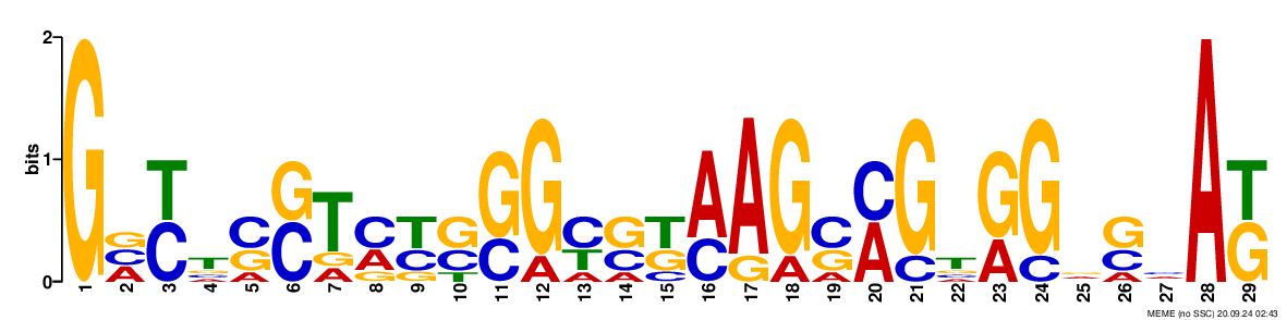 phosphatase