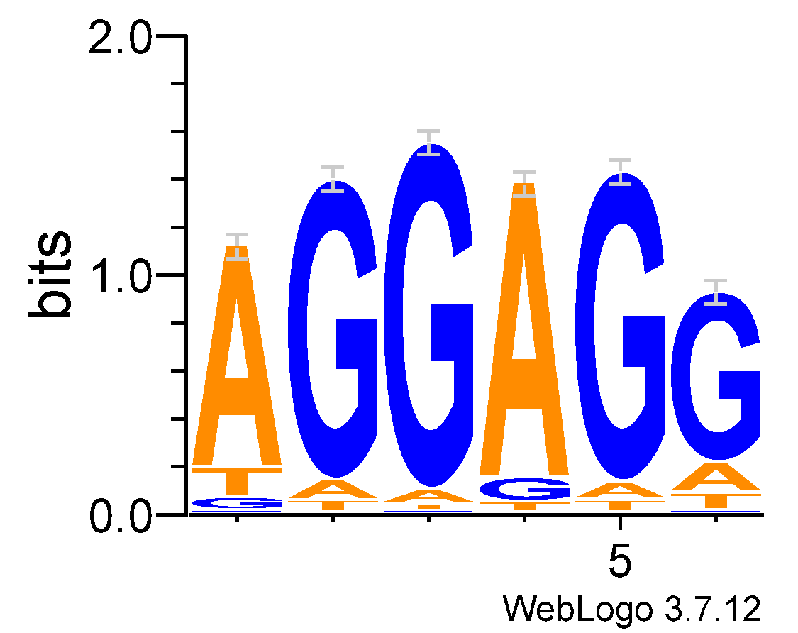 phosphatase