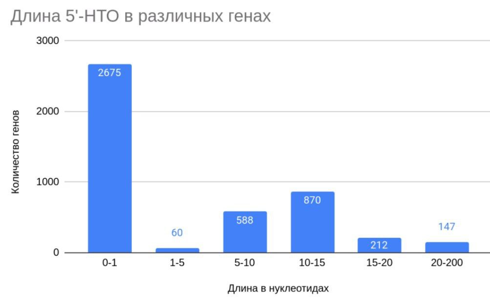 Профиль Clash Royale 1