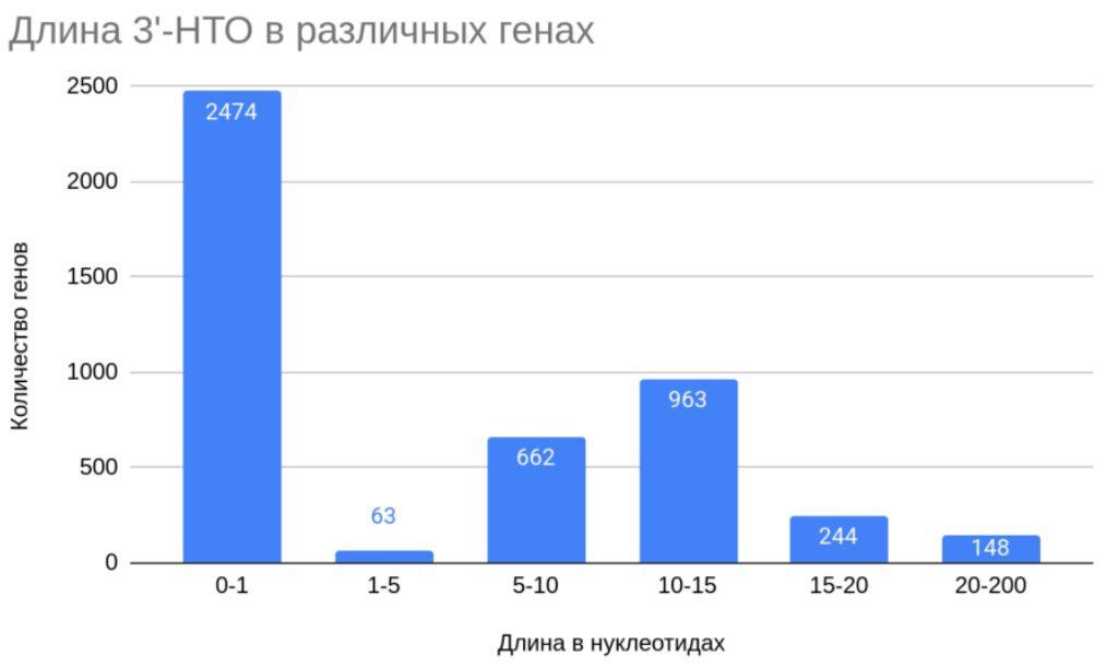 Профиль Clash Royale 1
