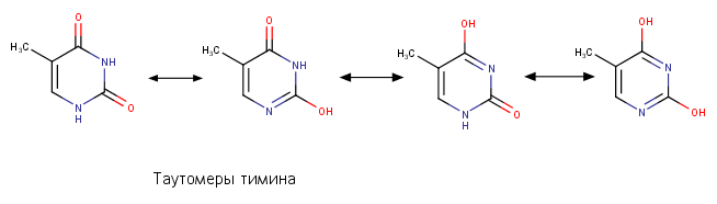 Схема таутомерных превращений
