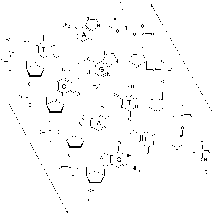 nucl_2