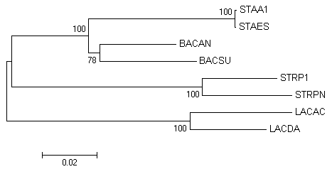 rna_align"