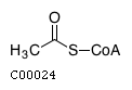 acetyl-CoA